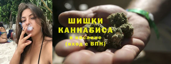 ешки Алзамай