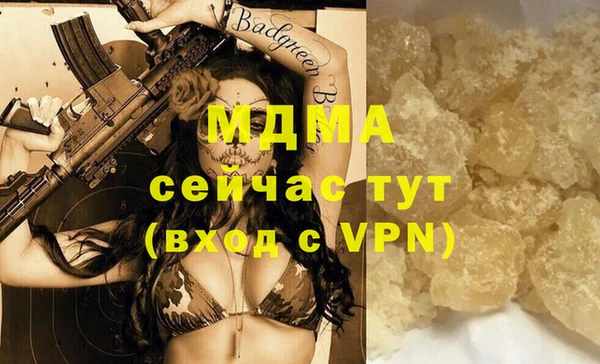 СК Алексин