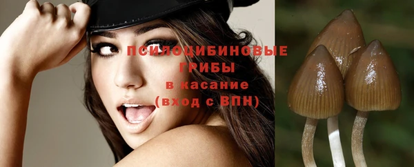 СК Алексин