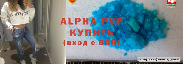 СК Алексин
