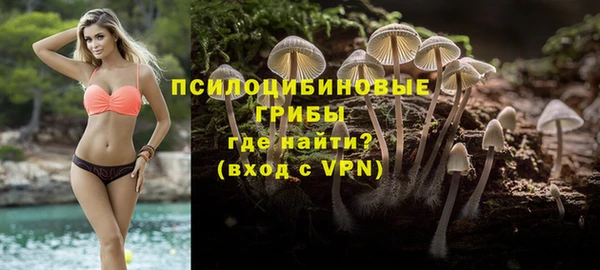 ешки Алзамай