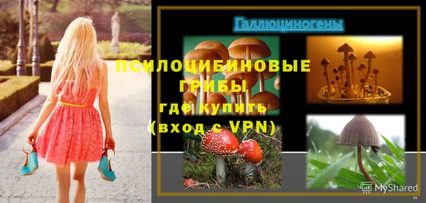 ешки Алзамай