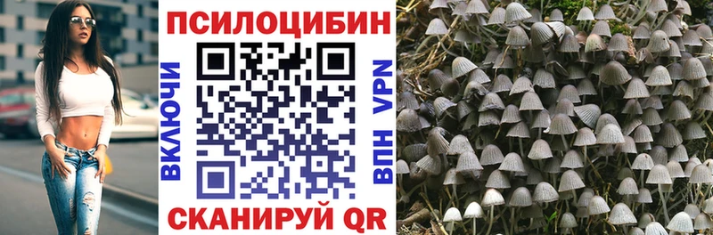 MEGA ONION  Покачи  Галлюциногенные грибы Psilocybine cubensis 